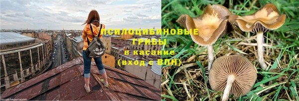 тгк Магадан